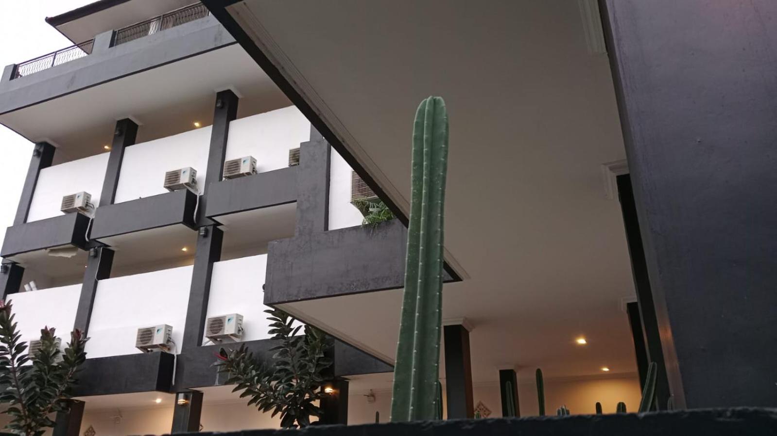 Nomad Hub Canggu Εξωτερικό φωτογραφία
